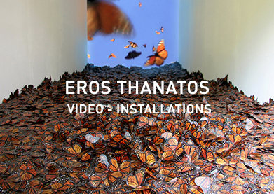 Eros Thanatos - Erika Harrsch